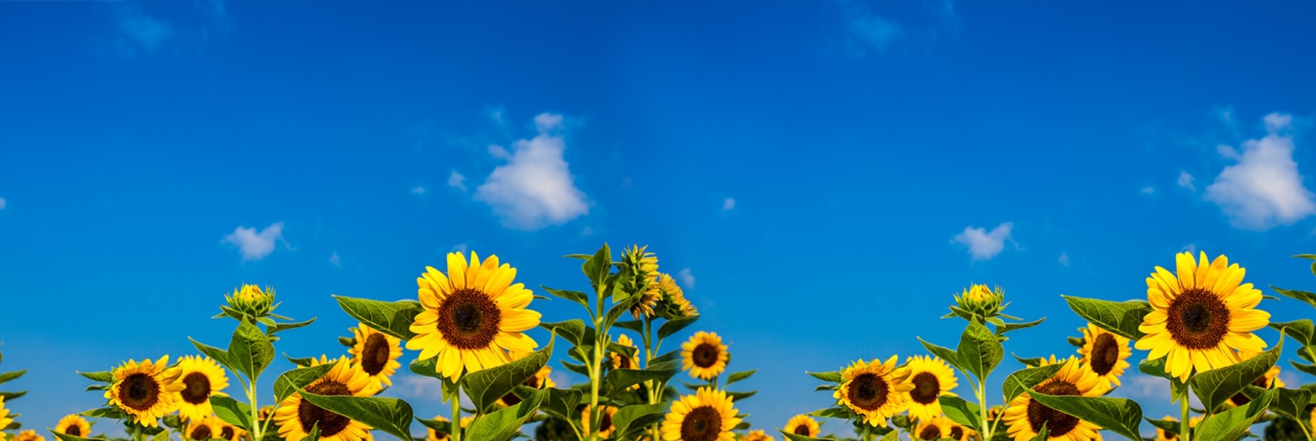 ��23������������±�